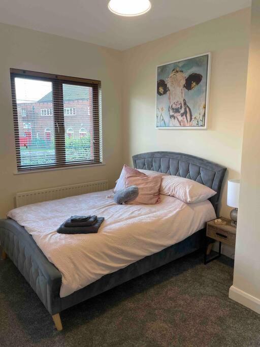 Close To Belfast City Centre.Modern Opened Planned Екстериор снимка