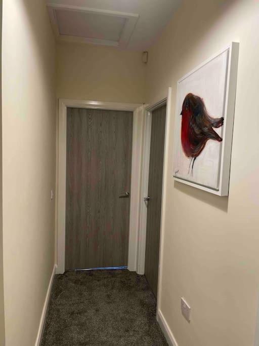 Close To Belfast City Centre.Modern Opened Planned Екстериор снимка