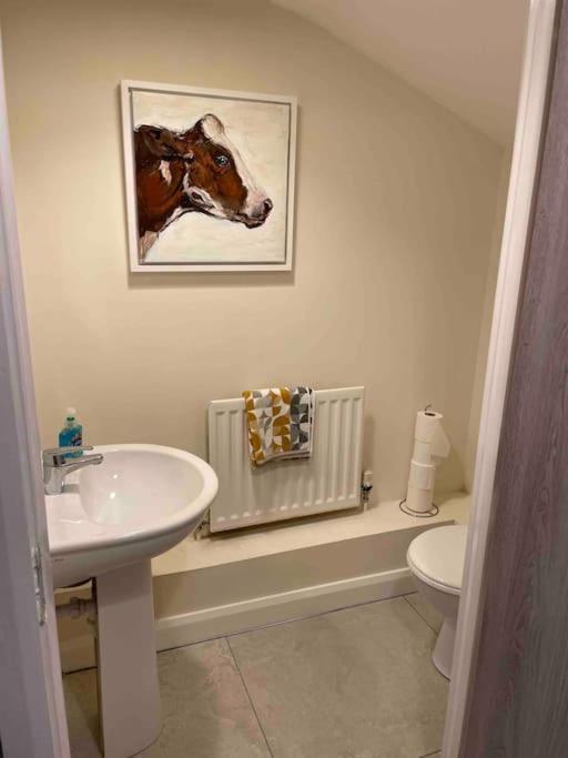 Close To Belfast City Centre.Modern Opened Planned Екстериор снимка